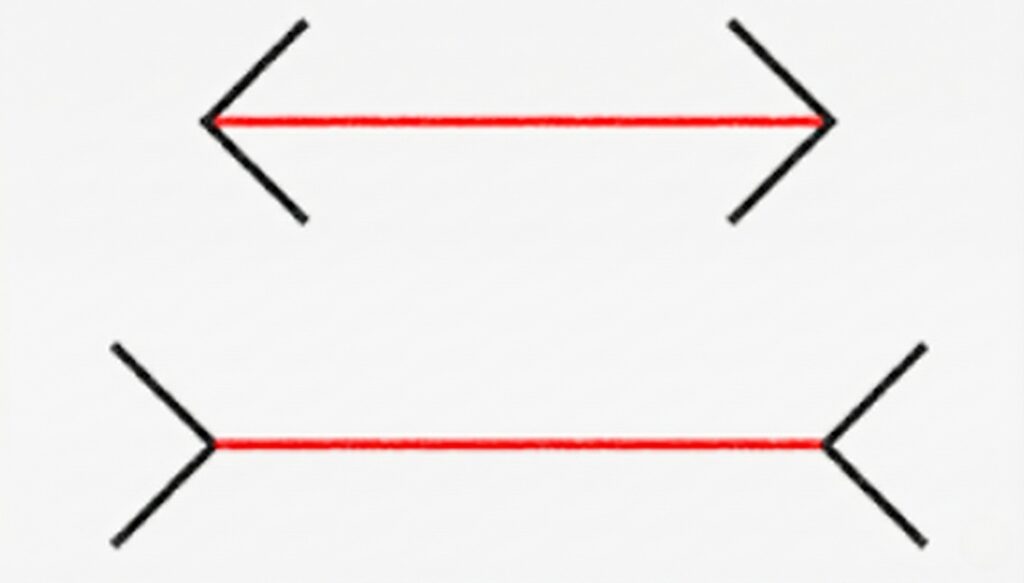 ミャラー・リヤー錯視を説明する画像